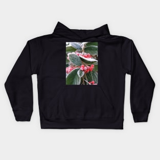 Frost Berries: close-up photo of red berries and green leaves with white frost Kids Hoodie